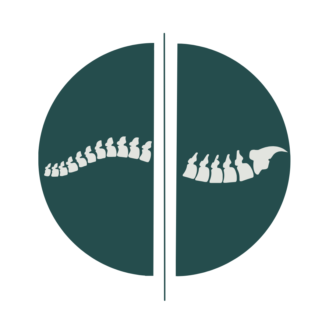 Studio D logo